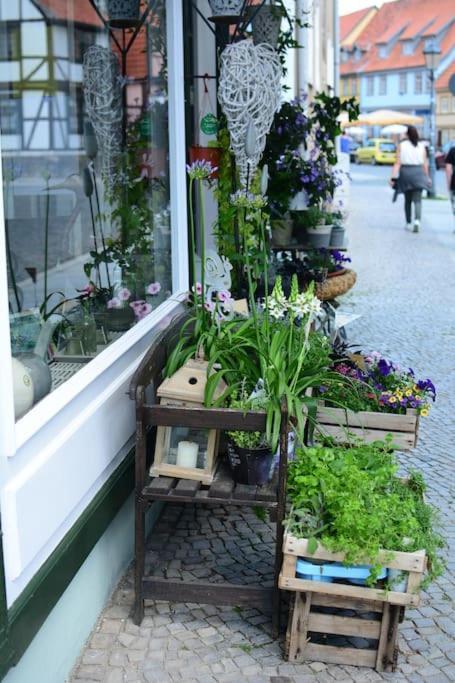 Schoene Ferienwohnung Mit Zwei Schlafzimmern เควดลินบวร์ก ภายนอก รูปภาพ